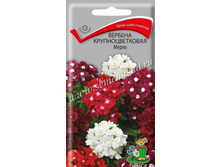 ������� ����� ����� ����� 25,01 ���.