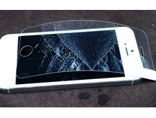 � ����.����