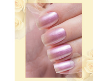 Poly-Chrome 350-60 ���.jpg