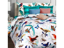 ��� Nocturn 1,5 �� 50*70, 1243 ���.