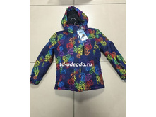 �1243 �����, 3600�