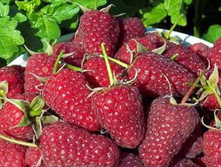 ������ �����������.jpeg