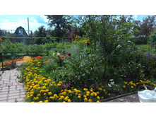 ���� ��������� ������ �������.