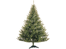 ��� ������������� ������ 2,10 � ������� 4200,5.jpg