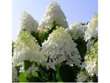 207���. ��������� ����������� ����� ���17.jpg