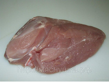 ���� ������ �������