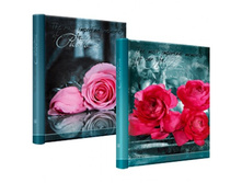 161.5���. ��� 81446 V ���������� 10� ����� 17 ����� ������ ��������� Image Art.jpg