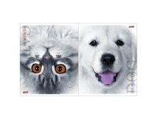 ������� 48�. �5 ������ ������� ������-��� 17,91.jpg