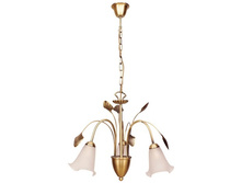 256015603 3000�.jpg