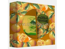 ���������� ����� ������������ ���� ���� 120 ���.jpg