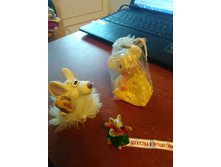 IMG 20161109 113623.jpg