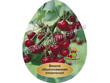 ����� ���������� � �������.jpg