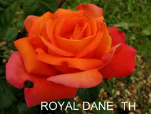 Royal Dane ���� ��� 3,20 ����.jpg