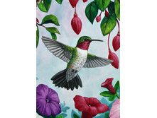 ������� 27-38 Ag 857.jpg