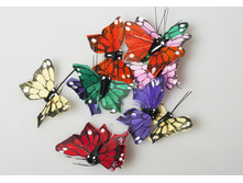 ������� 467102 90�.jpg