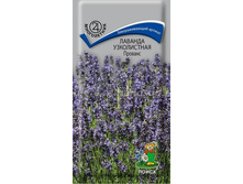 ������� ����������� ������� 10,45 1��.