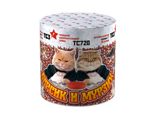 ��720 ������ � ������ (1�16)