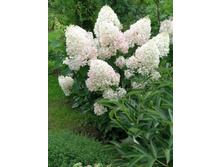 148���. ��������� ����������� ������� ������ ���17.jpg