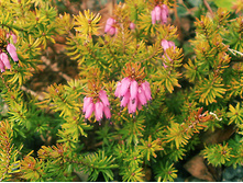 161���. ����� �������� ��� ������� ���17.jpg