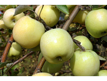 ������ ��������� ������������ (�������)-180�.jpg