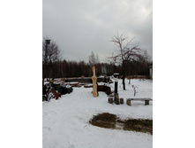 IMG 20161119 124829.jpg