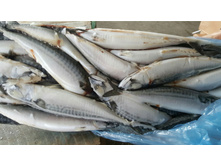 �������� - 14 ��.jpg