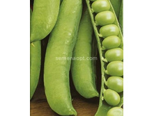 ����� �������� ��������,(��) 4,00 ���. [���.9000148]