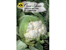 ������� ������ F1 ������� 10�� ��� ��� 23,39���. [���.��000002426]