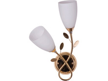 256023502 1200�.jpg