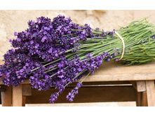 �������,(��) 8,00 ���. [���.1000162]