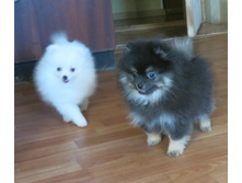 ������� 011.JPG