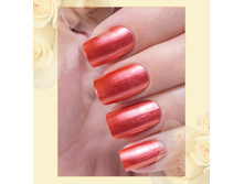 Poly-Chrome 348-60 ���.jpg