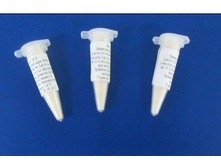 �������� ��� ���� ���� (Lactococcus lactis, Lactococcus cremoris, Lactococcus diacetylactis) �� 10 � ������, ������-�������.jpg