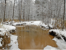 P 20161105 110737.jpg