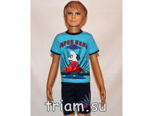 �������: 311206