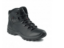 312-1_4260 ���