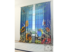 10976 14170787359.jpg