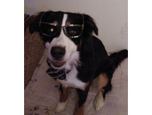 ������ - ���������