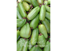 274���. ��������� ��������� �������� ���16.jpg