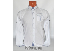 �������: 4823