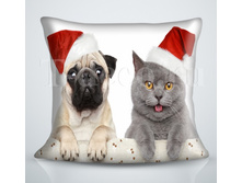 ����������� ������ ����� ��� � 41.jpg