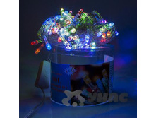 �������� LED 2�L-1 100� �����.������ ���-��� �100 ��� 00053446 239,6���.jpg