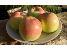 ������ �������� ����� (�������)-180�.jpg