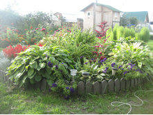 ����������� 001.jpg