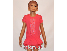 �������: 6027