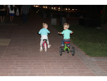 ���� ���������  *����ף���*