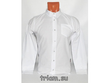 �������: 4824