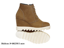 00239-1 �����.jpg