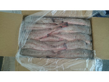 ������ ������� - 5 ��.jpg