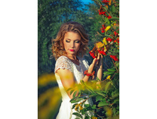 �������� ������